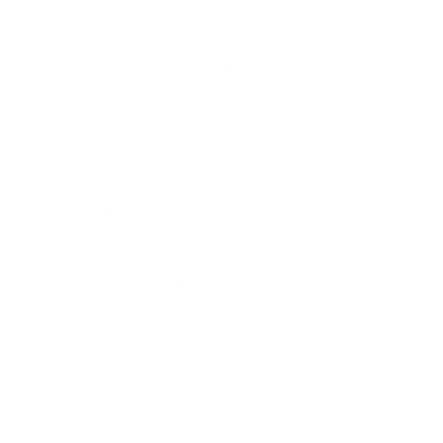 Social Surge LLC